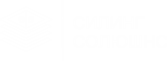 Силинг Солюшнс